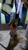 Neguinha 