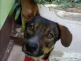 Neguinha 