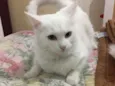 Mary