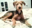Bolinha