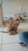 Lilo