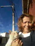 Zangão