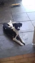 Faísca