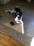 Faísca