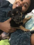 Balu