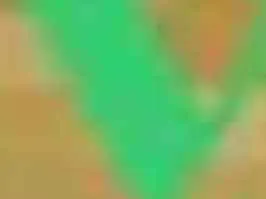 Gato ra a Persa idade 4 anos nome Sem nome