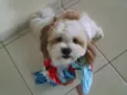 Billy