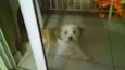 Billy
