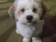 Billy