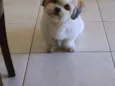 Billy