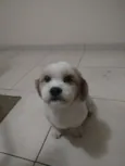 Billy