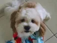 Billy