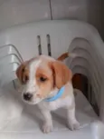 ainda não tem