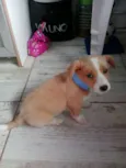 ainda não tem