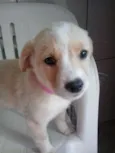 ainda não tem