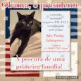 Obama, castrado, etc