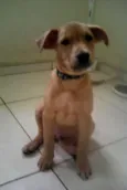 sem nome ainda