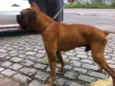 Nao informado