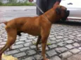Nao informado