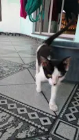 Mimi