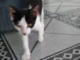 Mimi