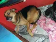 romeu