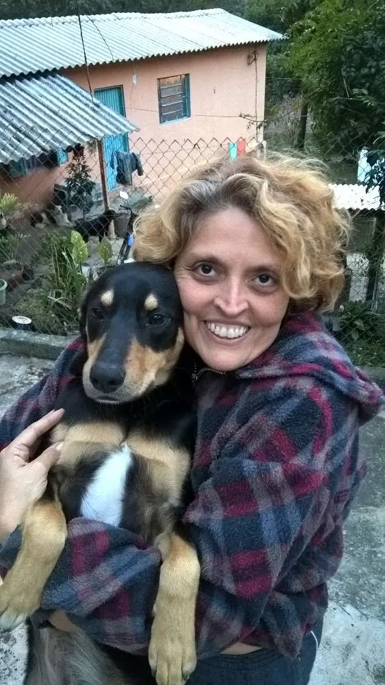 Cachorro raça srd idade 1 ano nome guby