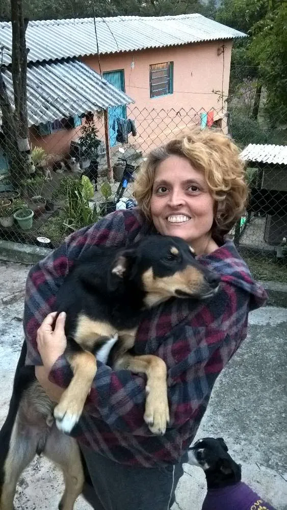 Cachorro raça srd idade 1 ano nome guby