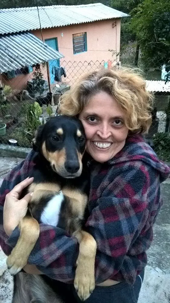 Cachorro raça srd idade 1 ano nome guby
