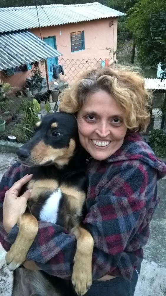 Cachorro raça srd idade 1 ano nome guby