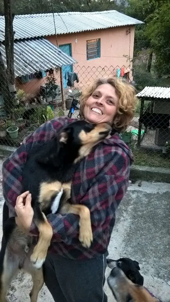 Cachorro raça srd idade 1 ano nome guby