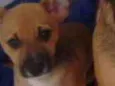 Edgar