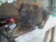 Não tem nome
