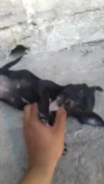 não tem 