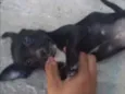 não tem 