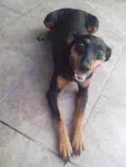 Meg