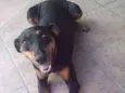 Meg