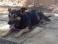 Kira