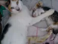 Fiona