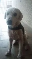 Aidan
