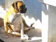 Zeus