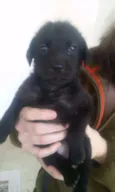 Escolha o meu nome