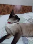 Não sei