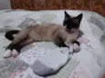 Não sei