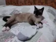 Não sei