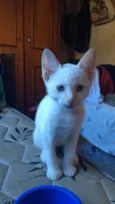 Miguel