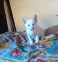 Miguel