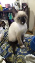 Gabriel