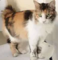 CATARINA