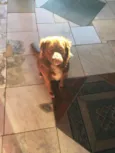 Bob